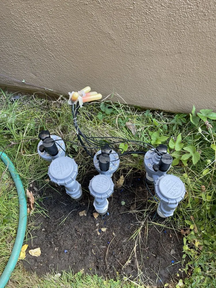 Reliable landscape installation in Hayward, CA by All Seasons Landscaping & Irrigation pros