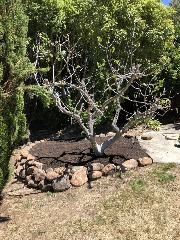 Trusted lawn mowing service with custom design in Hayward, CA by All Seasons Landscaping & Irrigation pros