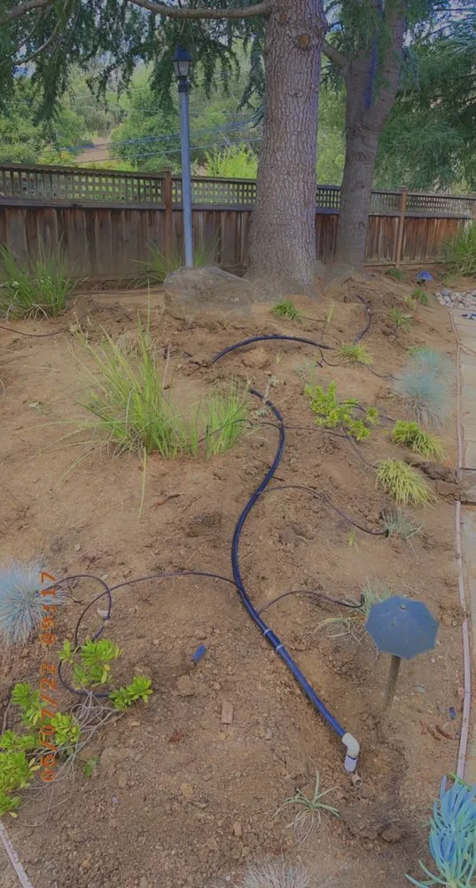 Professional landscape installation for beautiful yards in Hayward, CA by All Seasons Landscaping & Irrigation pros