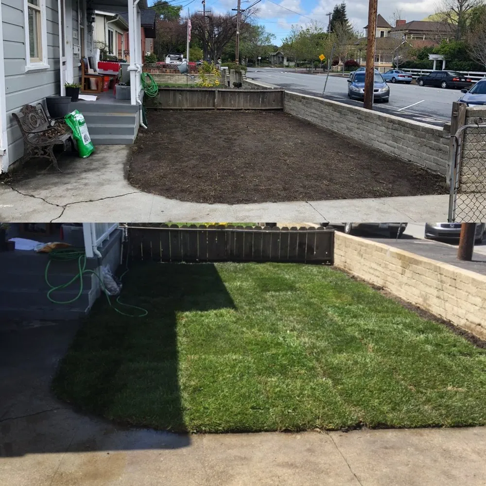 Local outdoor landscaping in Hayward, CA - All Seasons Landscaping & Irrigation pros