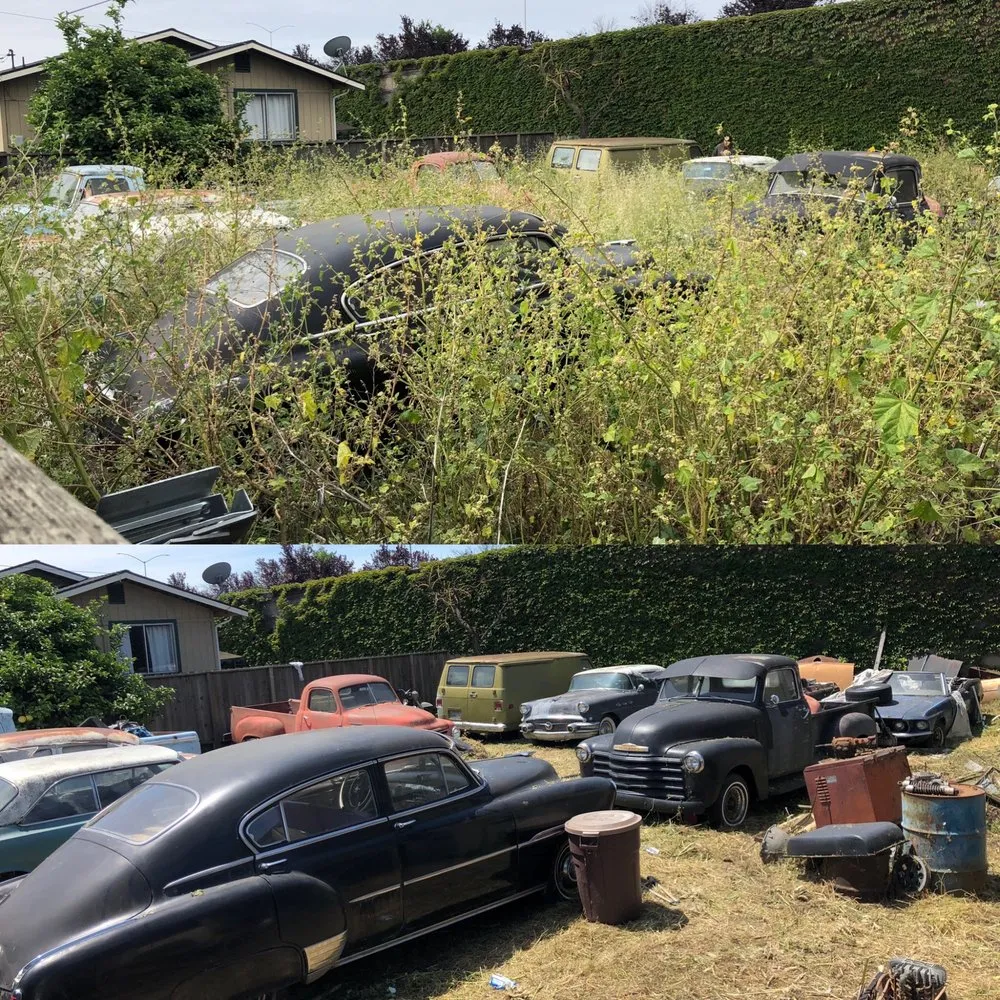 Top-rated outdoor landscaping for year-round maintenance in Hayward, CA by All Seasons Landscaping & Irrigation pros