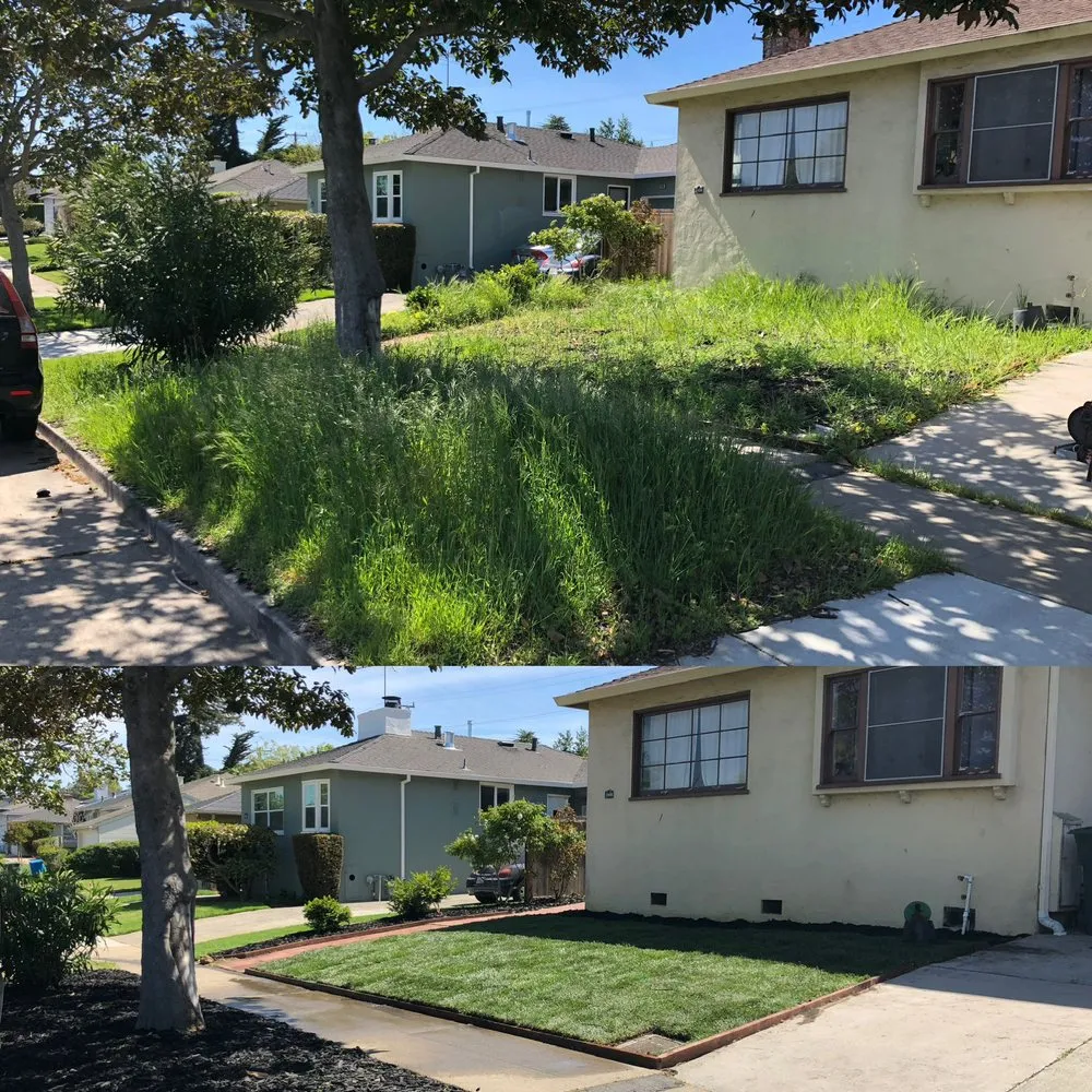 Trusted lawn mowing service for outdoor upgrades in Hayward, CA by All Seasons Landscaping & Irrigation pros