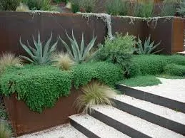 Local garden landscaping in Austin, TX by All Seasons Landscaping & Maintenance
