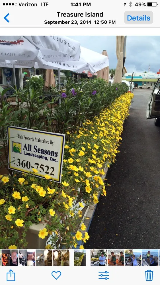 Affordable lawn care service in St Petersburg, FL - All Seasons Landscaping & Nursery