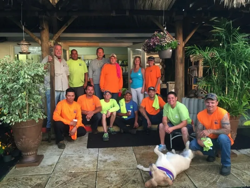 Trusted yard cleanup service in St Petersburg, FL - All Seasons Landscaping & Nursery