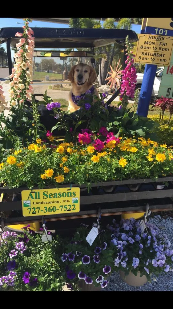 Professional garden landscaping in St Petersburg, FL by All Seasons Landscaping & Nursery