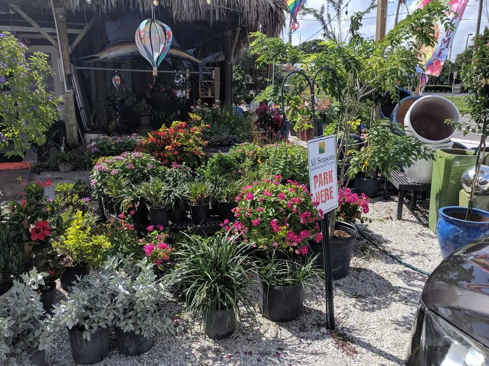 Expert landscape installation in St Petersburg, FL - All Seasons Landscaping & Nursery