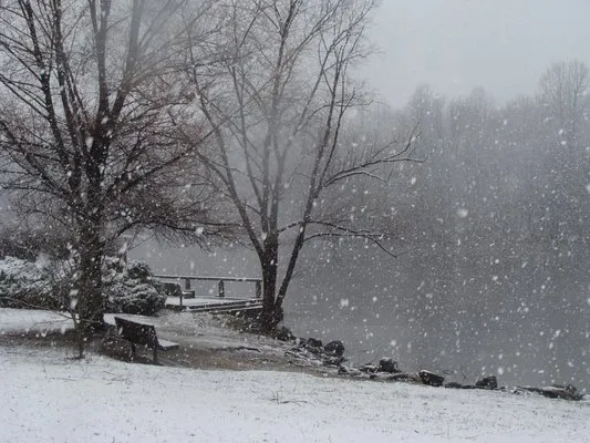 All Seasons Landscaping & Snow Removal