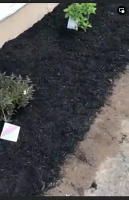 All Seasons Landscaping And Moving Logo