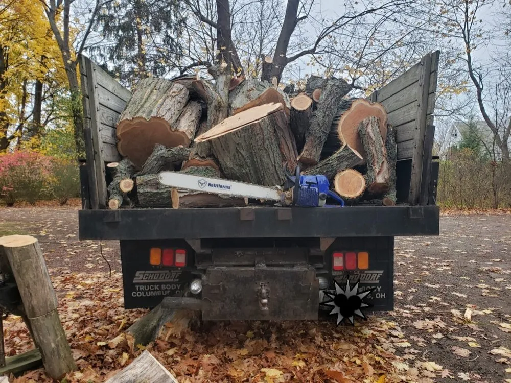Reliable yard cleanup service experts serving Fairview, PA - All Seasons Landscaping