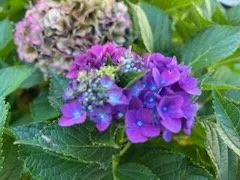 Affordable landscaping services for homes across Fairview, PA - All Seasons Landscaping