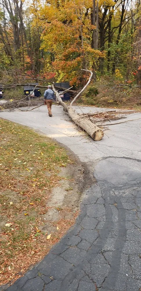 Custom yard cleanup service experts serving Fairview, PA - All Seasons Landscaping