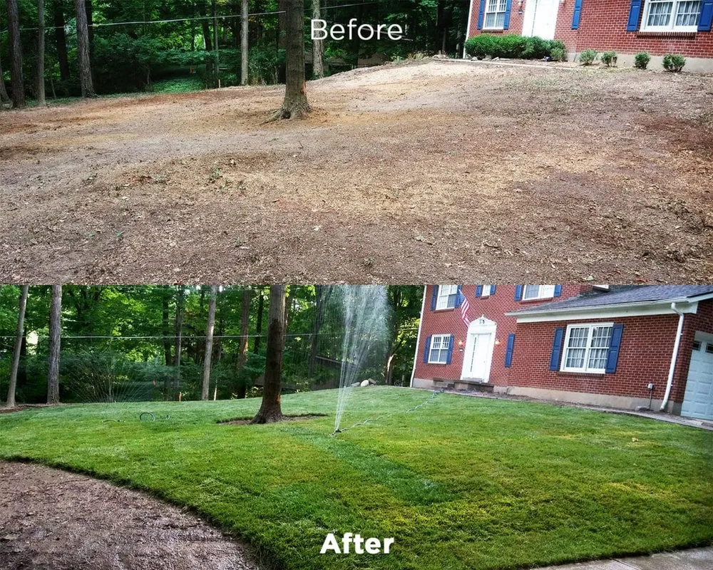 Custom yard maintenance in Las Cruces, NM - All Seasons Landscaping