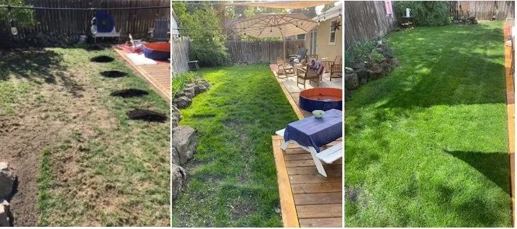 Professional yard cleanup service in Las Cruces, NM - All Seasons Landscaping