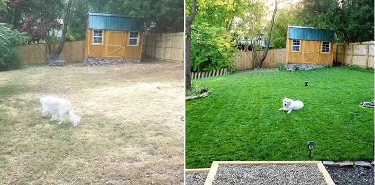 Top-rated yard maintenance for outdoor upgrades across Las Cruces, NM - All Seasons Landscaping