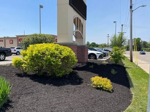 Trusted landscape design in Muncie, IN - All Seasons Landscaping