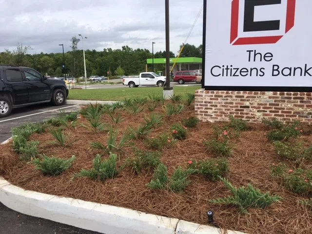 Custom lawn care service near you in Pass Christian, MS by All Seasons Landscaping