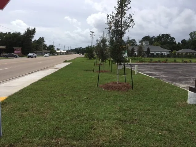 Reliable yard maintenance experts serving Pass Christian, MS - All Seasons Landscaping