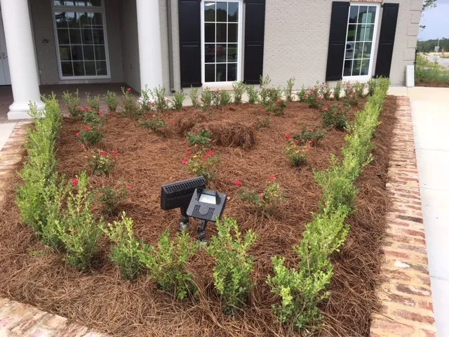Custom landscape installation in Pass Christian, MS - All Seasons Landscaping