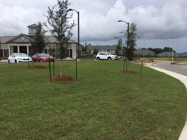 Expert residential landscaping for year-round maintenance across Pass Christian, MS - All Seasons Landscaping