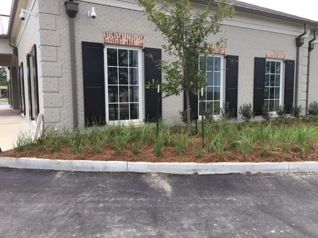 Top-rated landscaping services experts serving Pass Christian, MS - All Seasons Landscaping