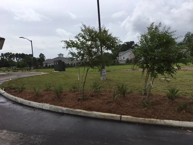 Expert garden landscaping for residential properties across Pass Christian, MS - All Seasons Landscaping