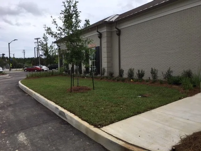 Trusted yard cleanup service with custom design across Pass Christian, MS - All Seasons Landscaping