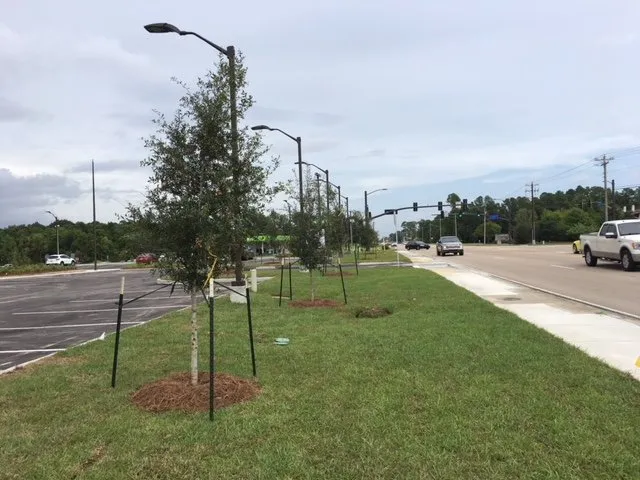 Expert lawn care service in Pass Christian, MS - All Seasons Landscaping