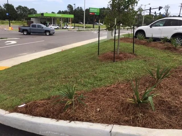 Professional lawn mowing service in Pass Christian, MS - All Seasons Landscaping