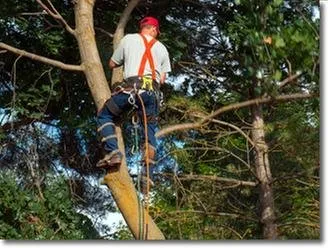 Professional garden landscaping experts serving Clarksville, TN - All Seasons Lawn & Landscape