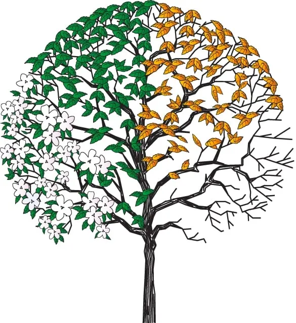 Custom landscape design with custom design across Reno, NV - All Seasons Lawn & Landscaping