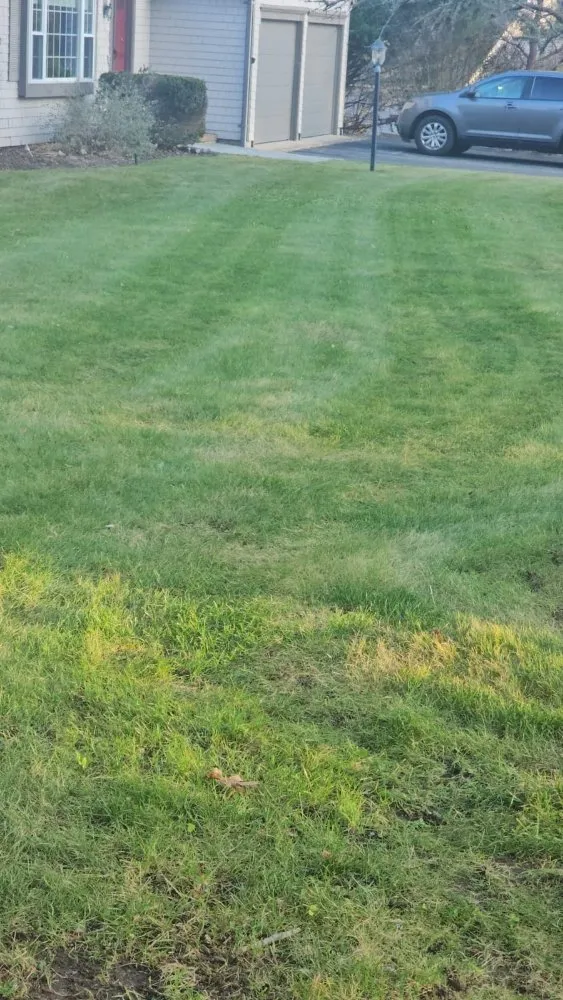 Reliable landscaping services in Barnstable, MA by All Seasons Lawn Care And Construction