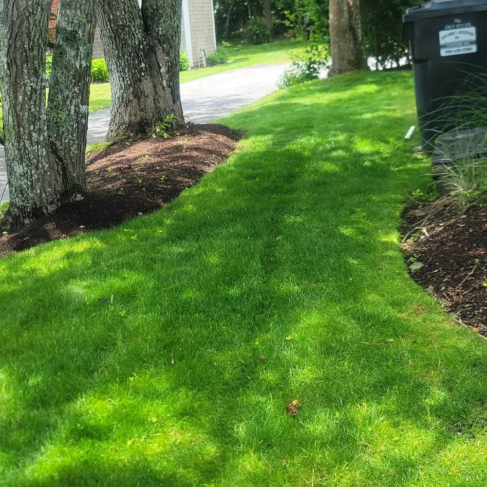 Reliable yard cleanup service for beautiful yards across Barnstable, MA - All Seasons Lawn Care And Construction