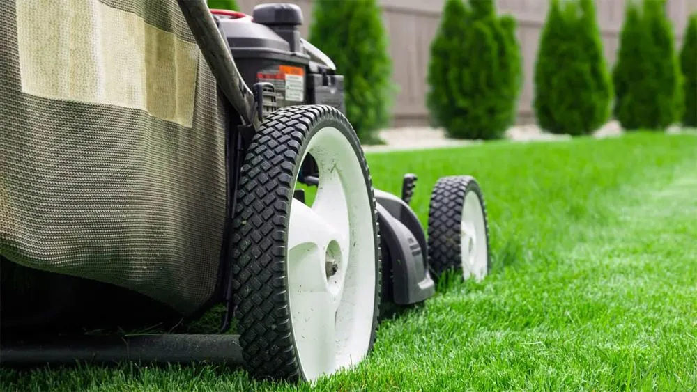 Top-rated yard cleanup service in Graham, NC - All Seasons Lawn Care