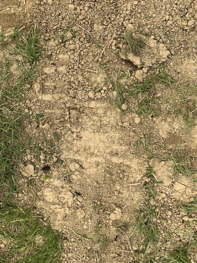 Expert lawn care service for beautiful yards across Knoxville, TN - All Seasons Lawn Care