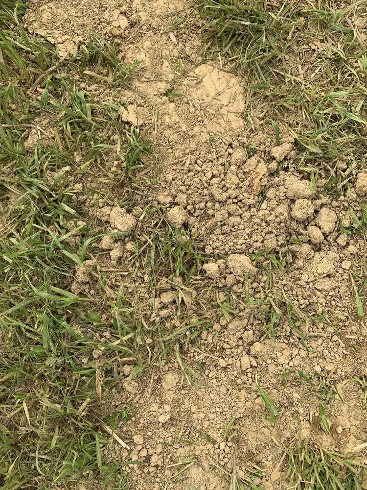 Expert outdoor landscaping with custom design across Knoxville, TN - All Seasons Lawn Care