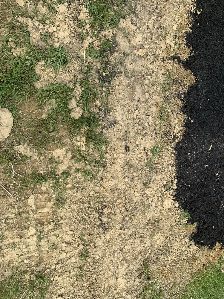 Professional lawn mowing service with custom design across Knoxville, TN - All Seasons Lawn Care