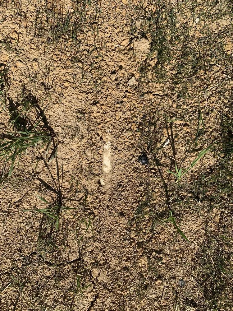 Professional yard maintenance in Knoxville, TN - All Seasons Lawn Care