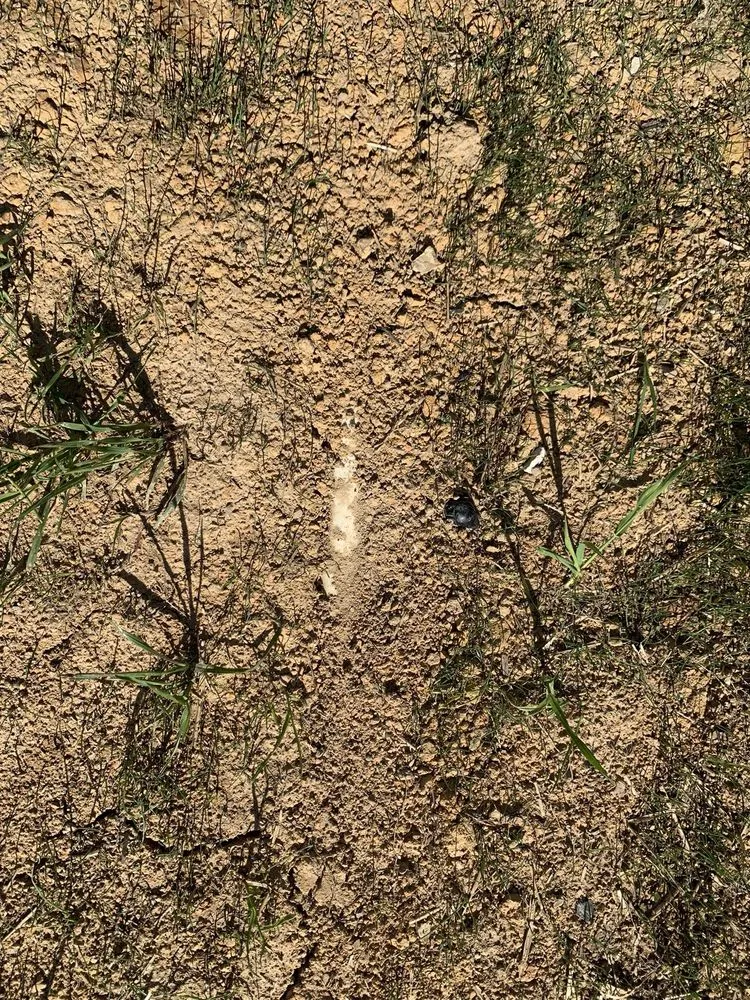 Expert landscaping services for beautiful yards in Knoxville, TN by All Seasons Lawn Care