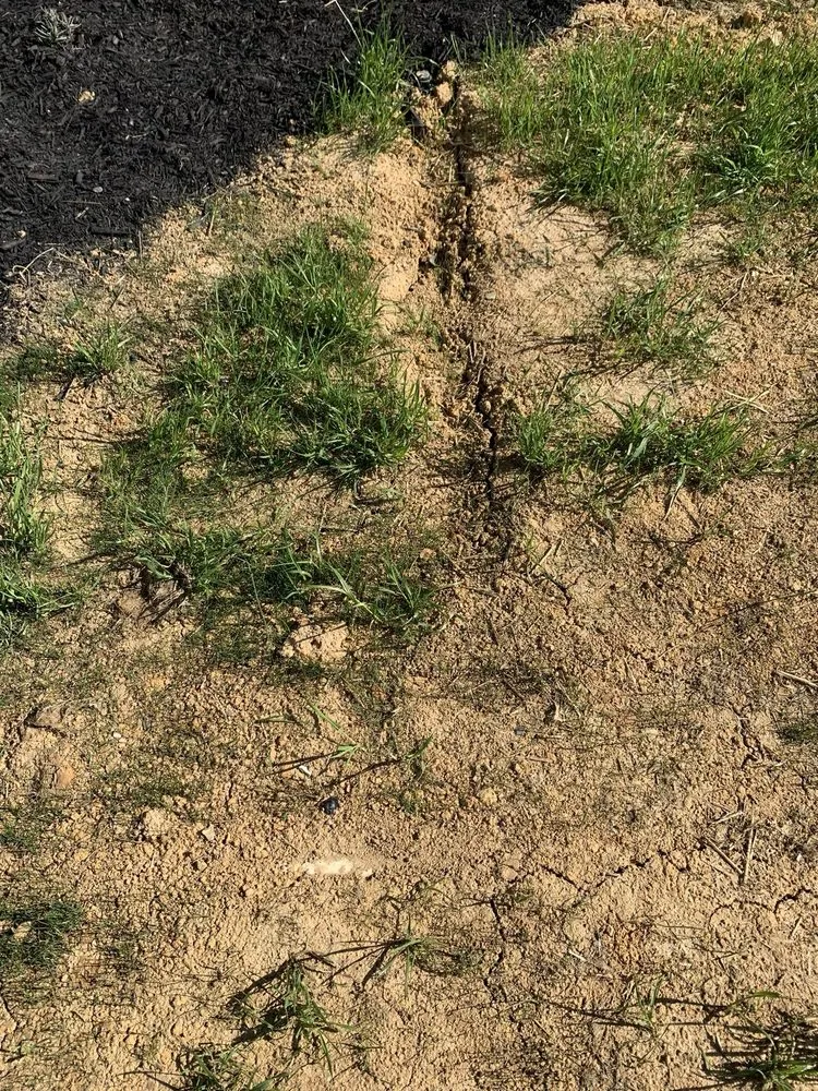 Professional garden landscaping in Knoxville, TN by All Seasons Lawn Care