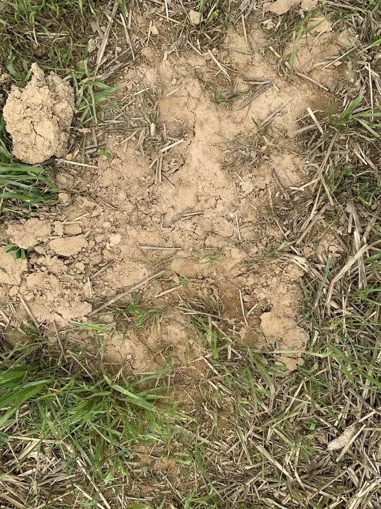 Expert landscape design in Knoxville, TN by All Seasons Lawn Care