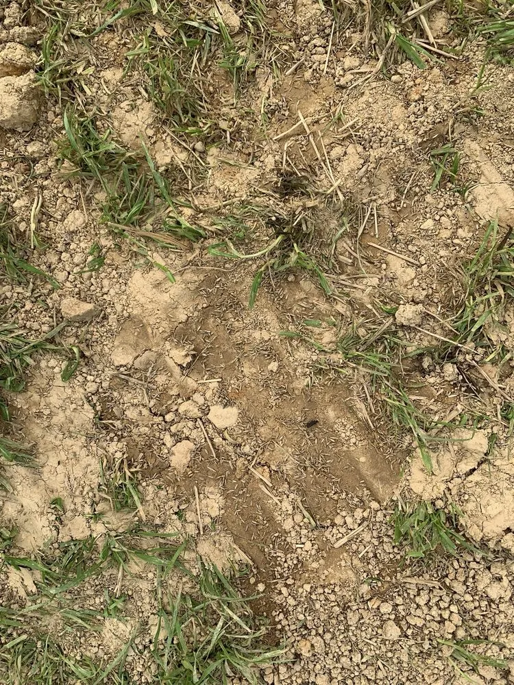 Trusted landscaping services experts serving Knoxville, TN - All Seasons Lawn Care