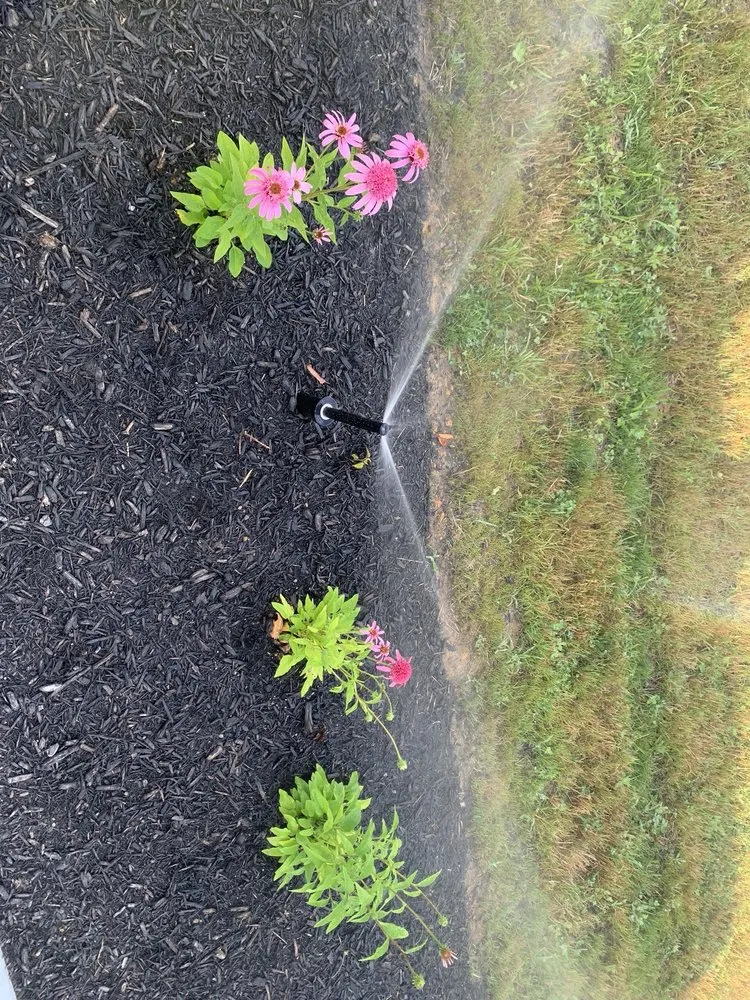 Trusted yard cleanup service for year-round maintenance across Knoxville, TN - All Seasons Lawn Care