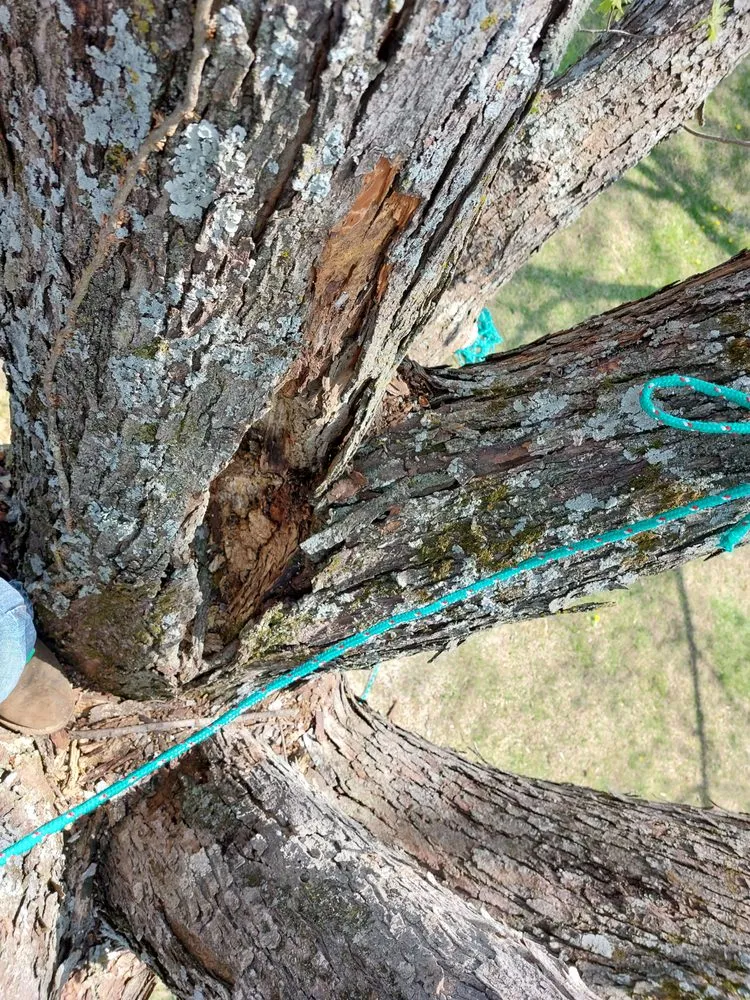 Top-rated garden landscaping in Lexington, MO - All Season's Lawn Care