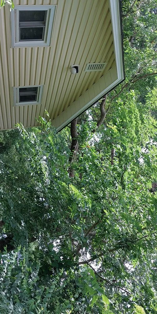 Custom lawn mowing service for beautiful yards across Lexington, MO - All Season's Lawn Care