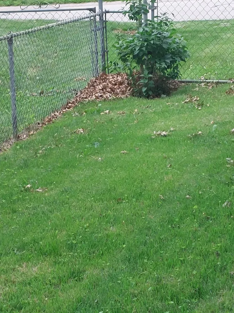 Local garden landscaping in Lexington, MO - All Season's Lawn Care