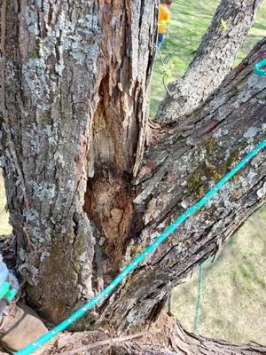 All Season's Lawn Care