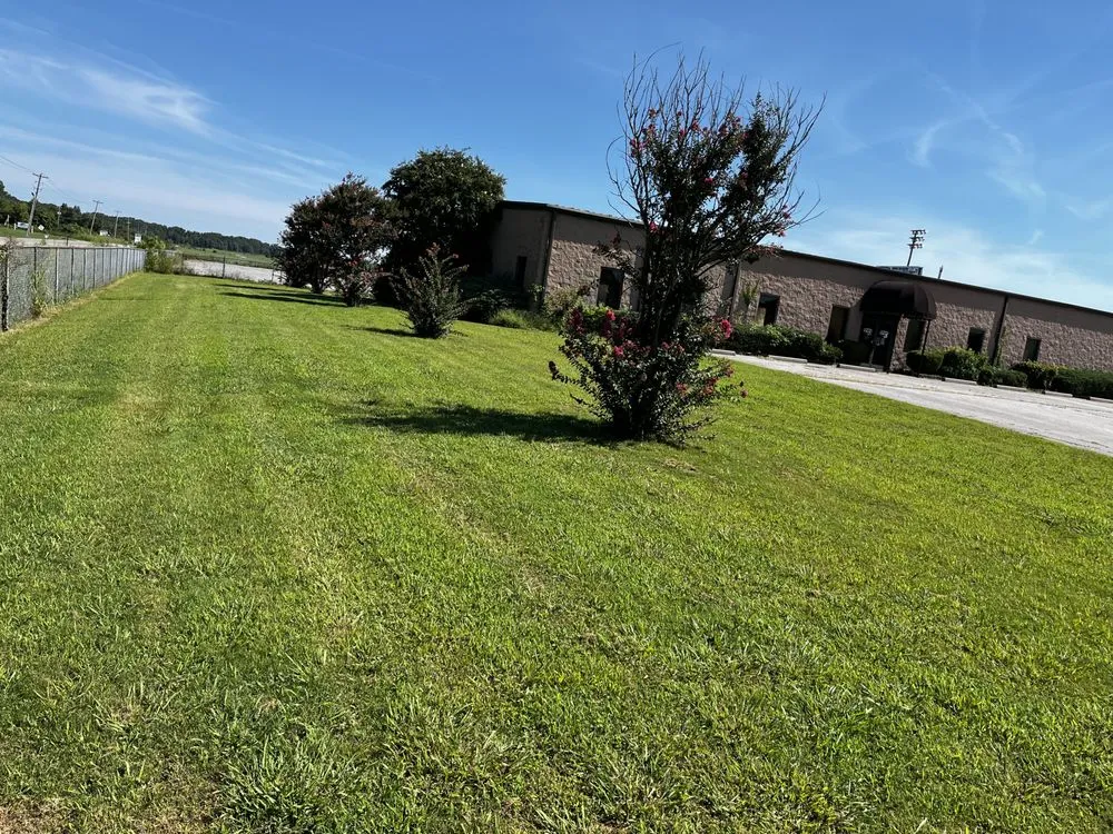 Local landscape design experts serving Millington, TN - All Seasons Lawn Care