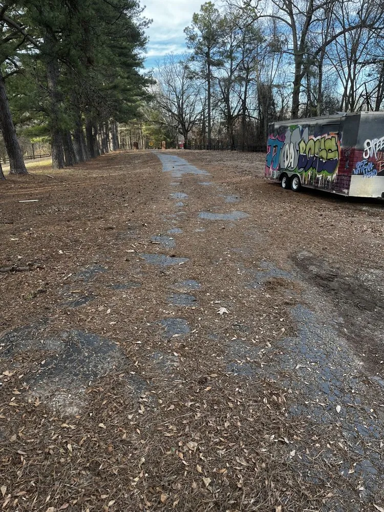 Expert lawn care service in Millington, TN by All Seasons Lawn Care