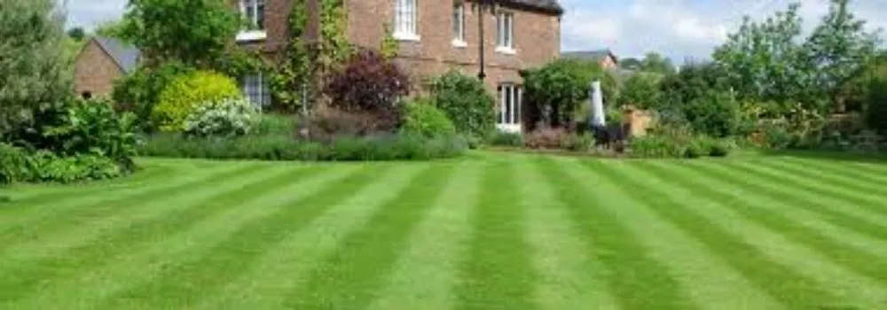 Custom outdoor landscaping in Phillipsburg, NJ by All Seasons Lawn Care